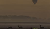 photogallery-336