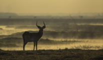 photogallery-337