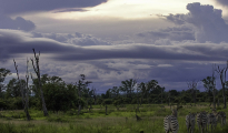 photogallery-56