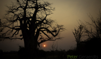 photogallery-57