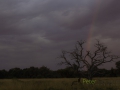photogallery-107