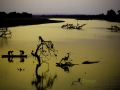 photogallery-130