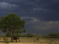 photogallery-176