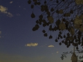 photogallery-245