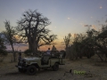 photogallery-261