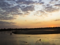 photogallery-316