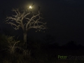 photogallery-323