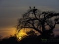 photogallery-324
