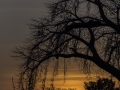 photogallery-325