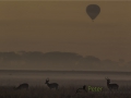 photogallery-336