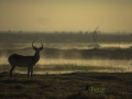photogallery-338