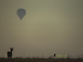 photogallery-339