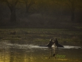 photogallery-36