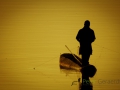photogallery-39