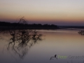 photogallery-54