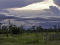 photogallery-56