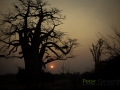 photogallery-57