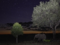 photogallery-76
